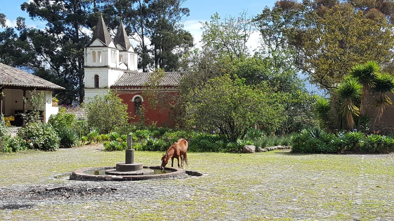 Hacienda Guachala 호텔 카얌베 외부 사진