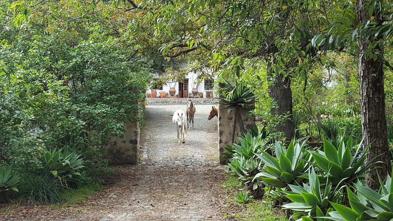 Hacienda Guachala 호텔 카얌베 외부 사진