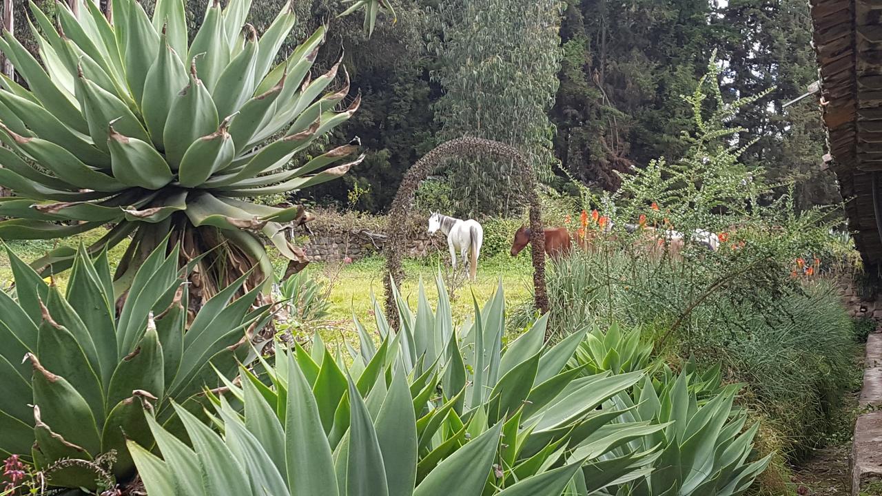 Hacienda Guachala 호텔 카얌베 외부 사진